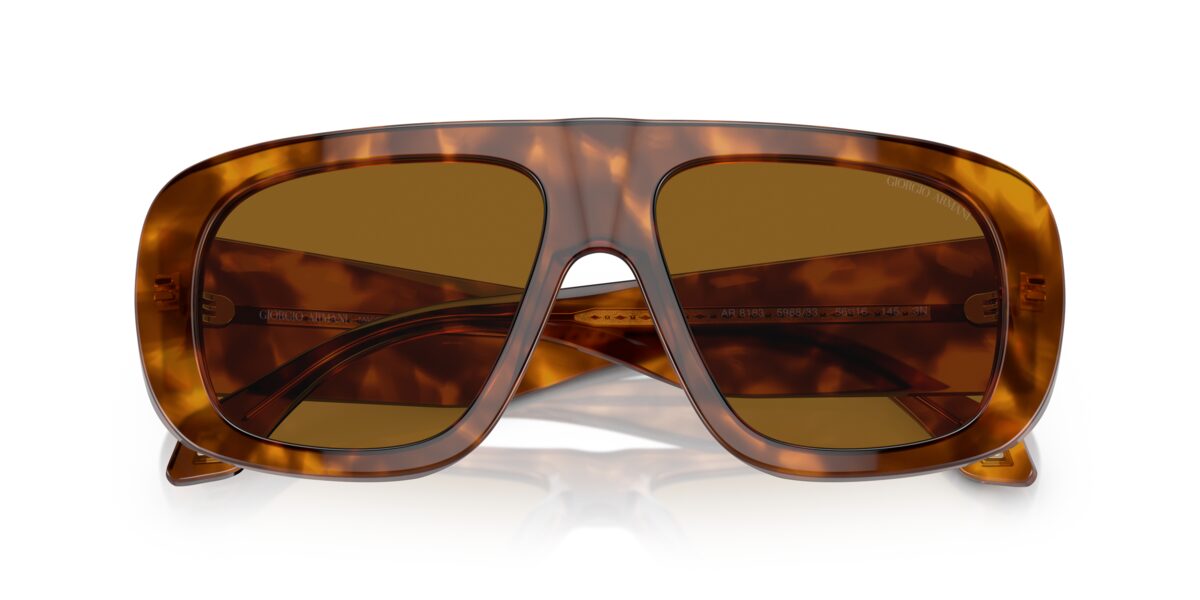 Giorgio Armani AR8183 598833