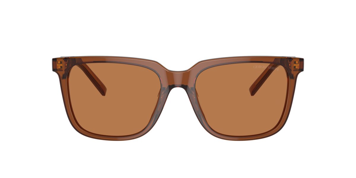 Giorgio Armani AR8202U 604973