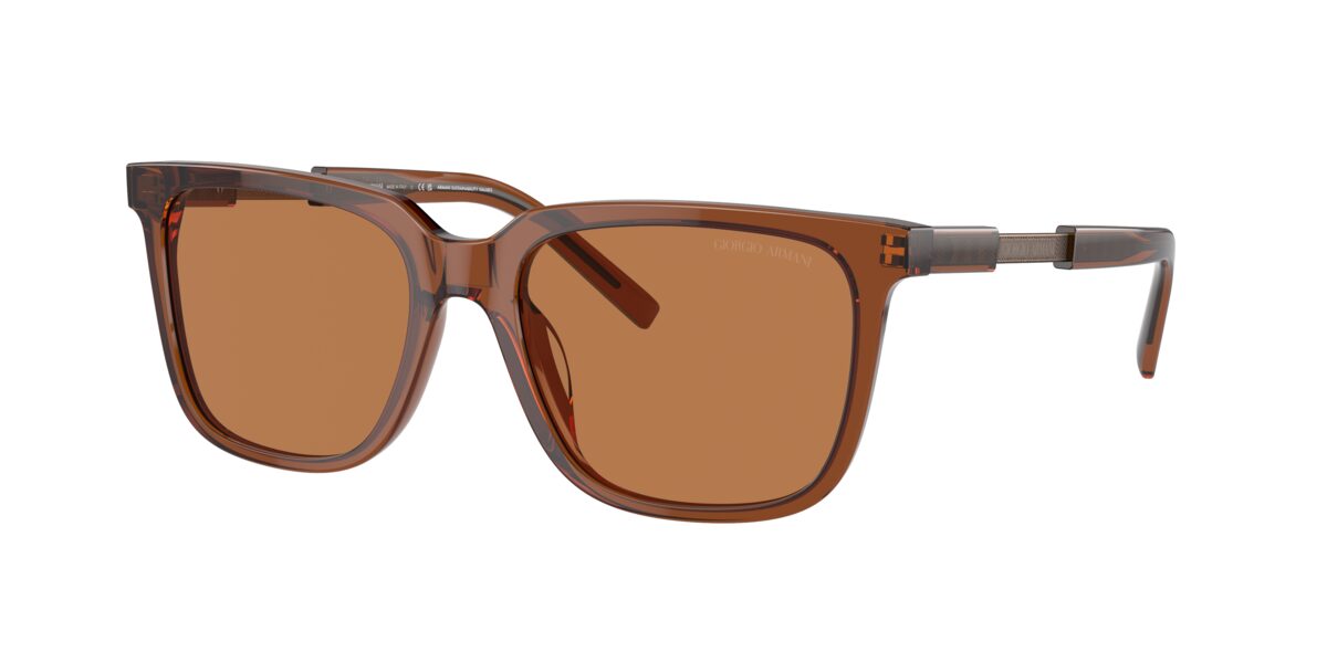 Giorgio Armani AR8202U 604973