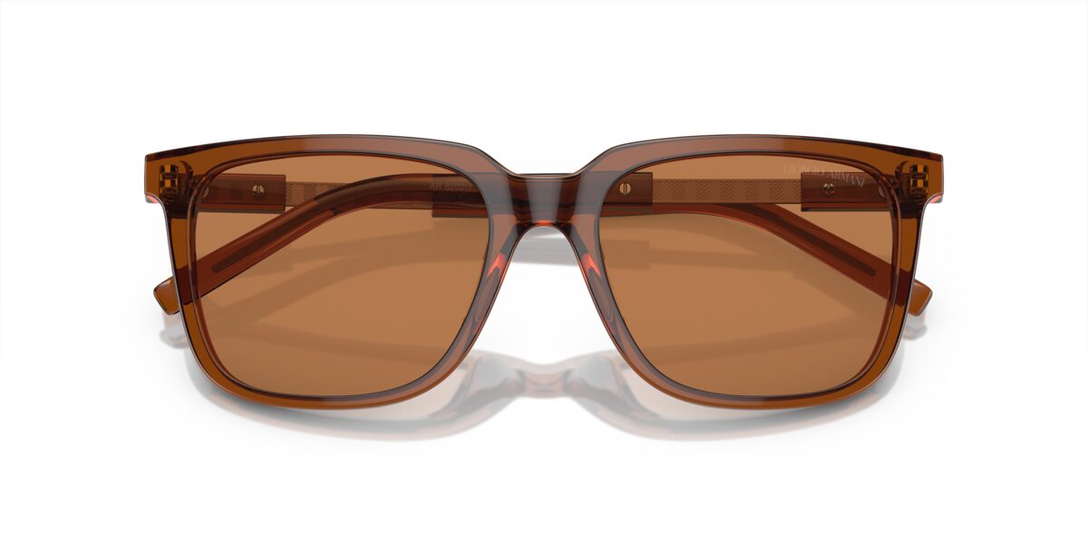 Giorgio Armani AR8202U 604973