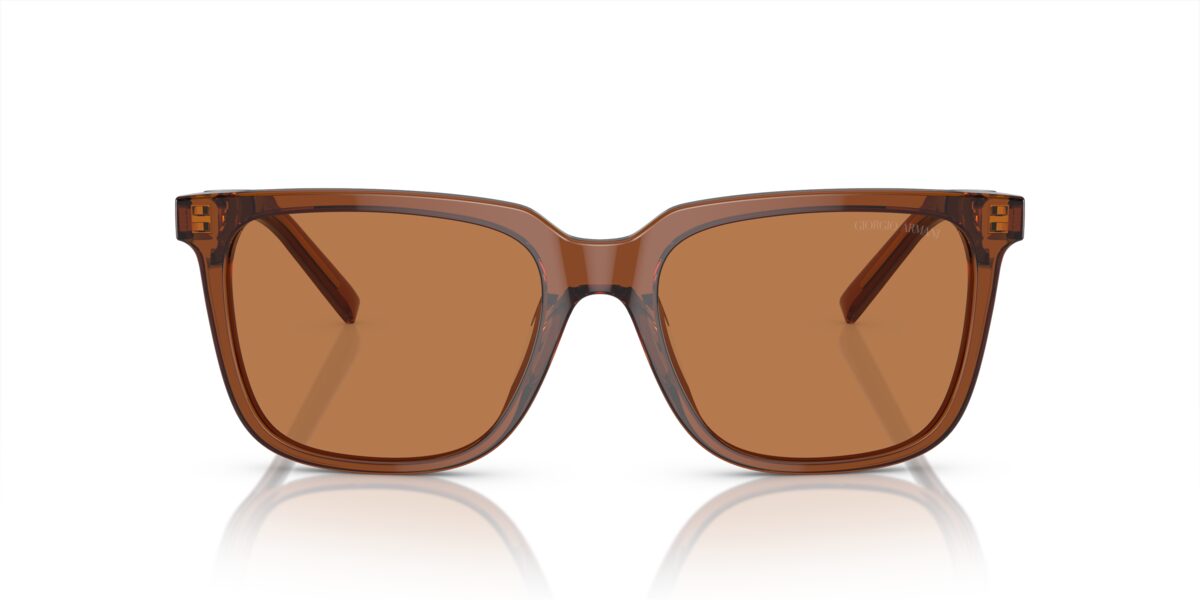 Giorgio Armani AR8202U 604973
