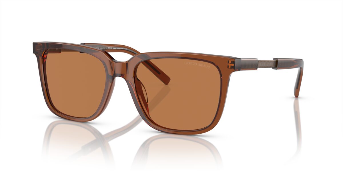 Giorgio Armani AR8202U 604973