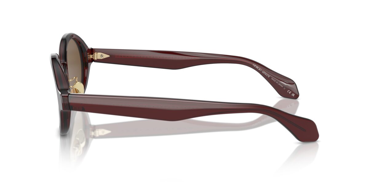 Giorgio Armani AR8205 606273