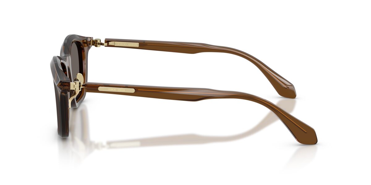Giorgio Armani AR8257 642453