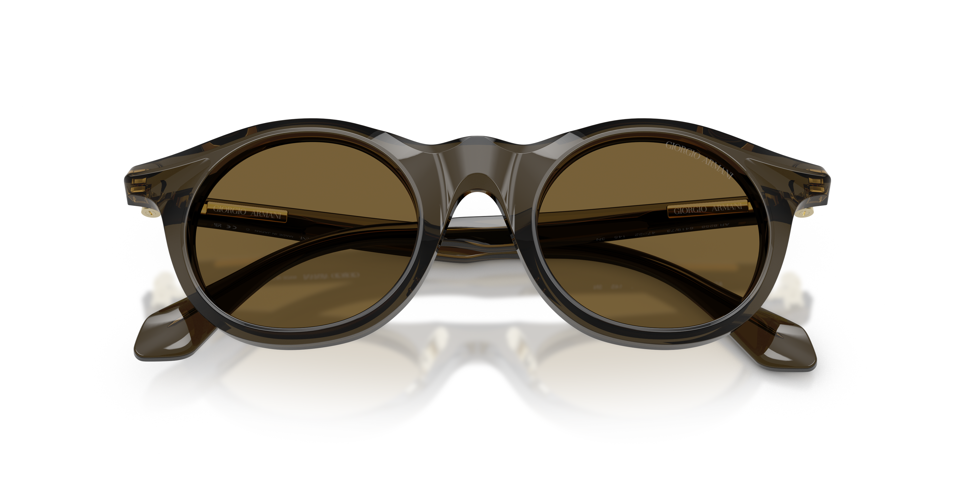 Giorgio Armani AR8258 641973