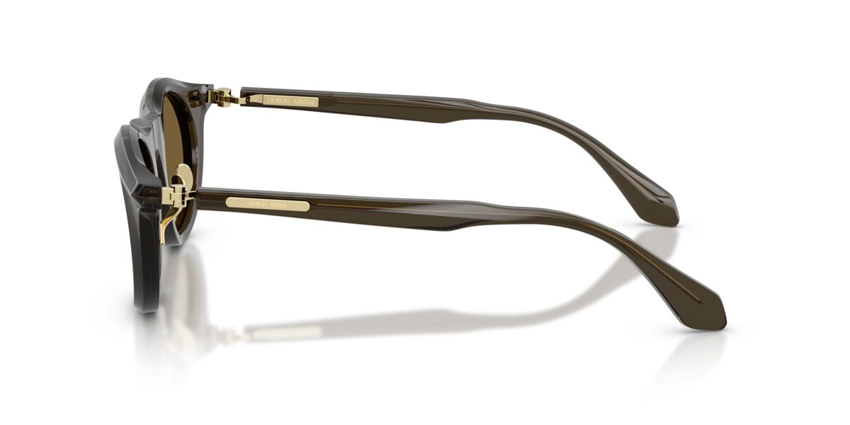 Giorgio Armani AR8258 641973