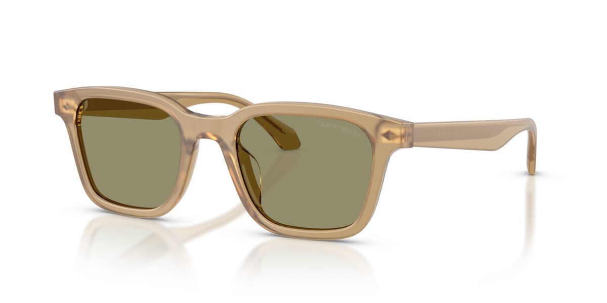 Giorgio Armani AR8265U 64732A