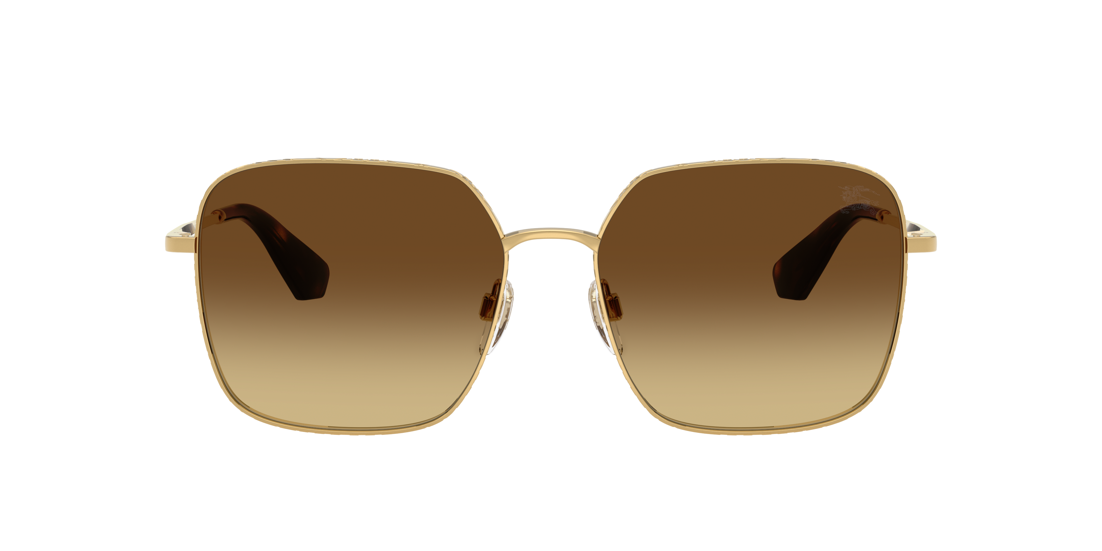 Burberry BE3180 101713