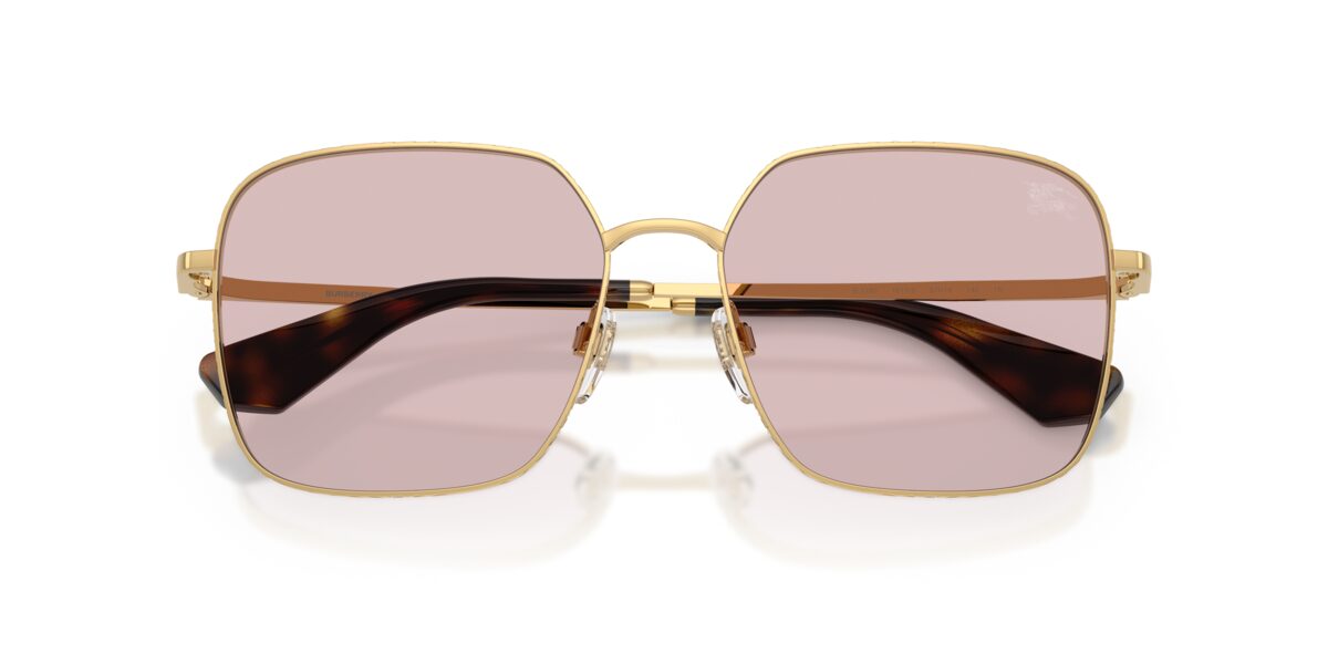 Burberry BE3180 1017/5