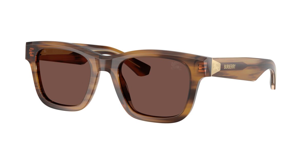 Burberry BE4504 425373