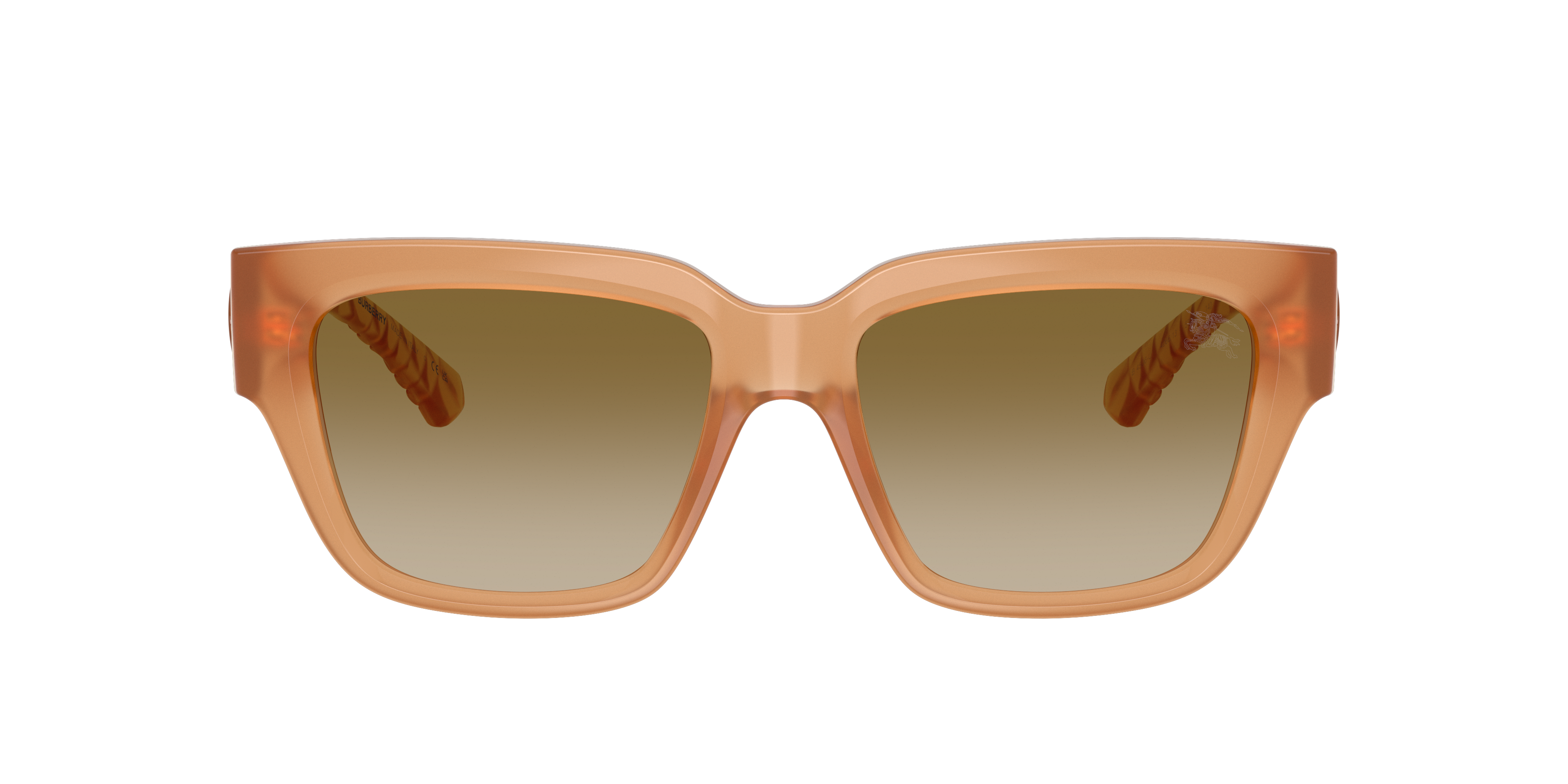 Burberry BE4506U 426613