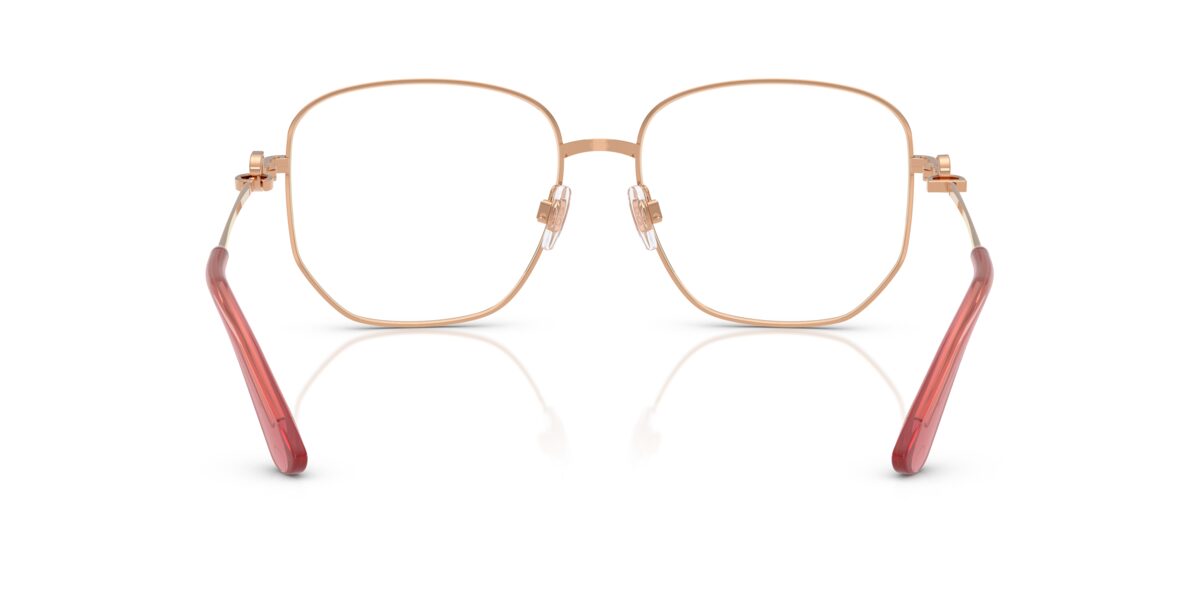 Dolce & Gabbana DG1356 1298