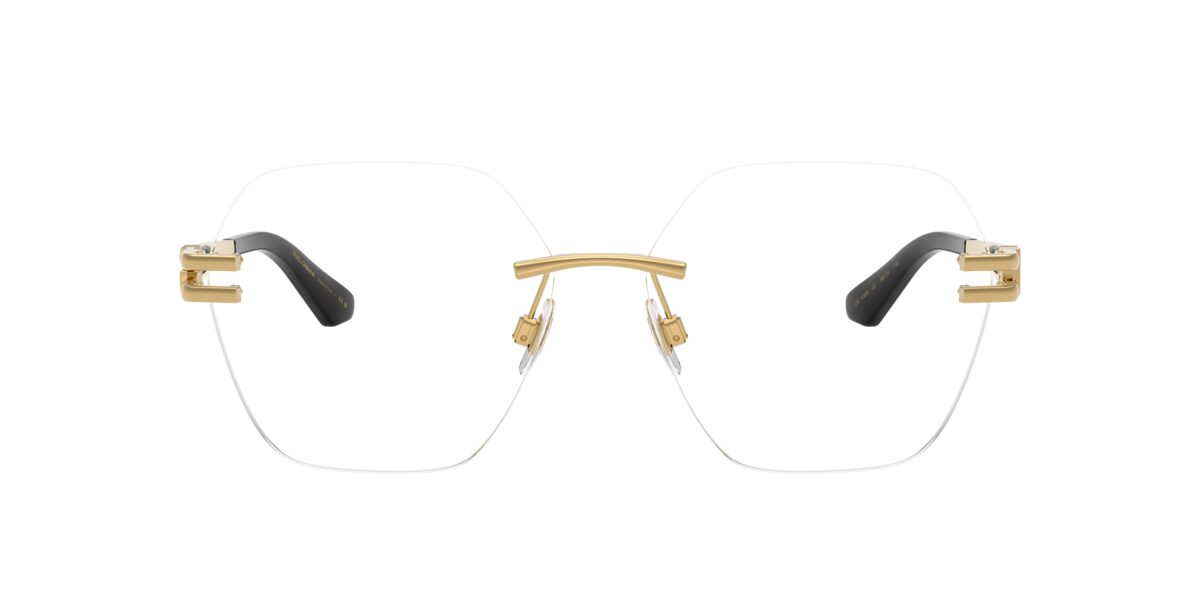 Dolce & Gabbana DG1369 02