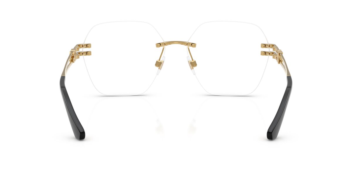 Dolce & Gabbana DG1369 02