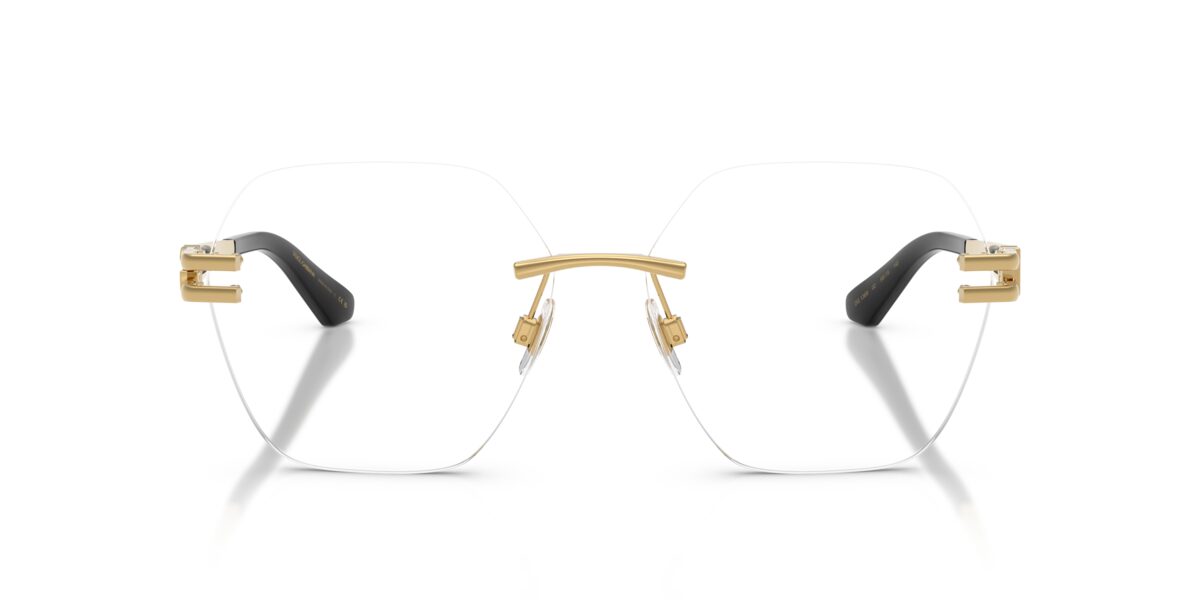 Dolce & Gabbana DG1369 02