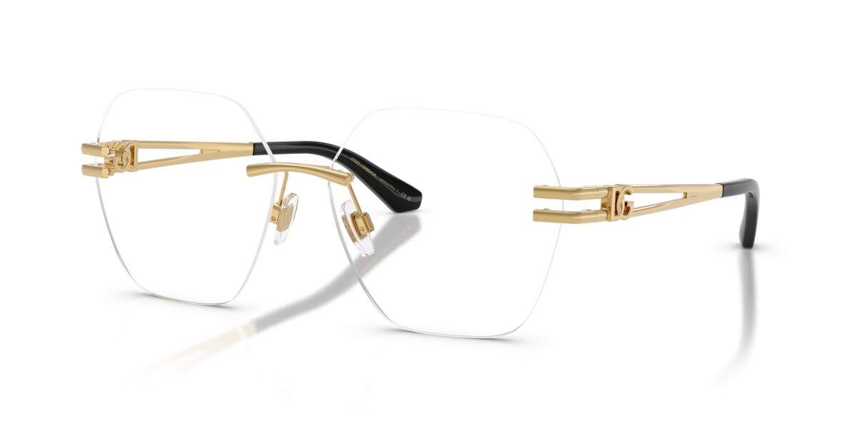 Dolce & Gabbana DG1369 02