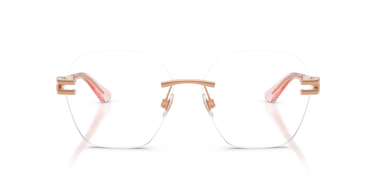 Dolce & Gabbana DG1369 1298