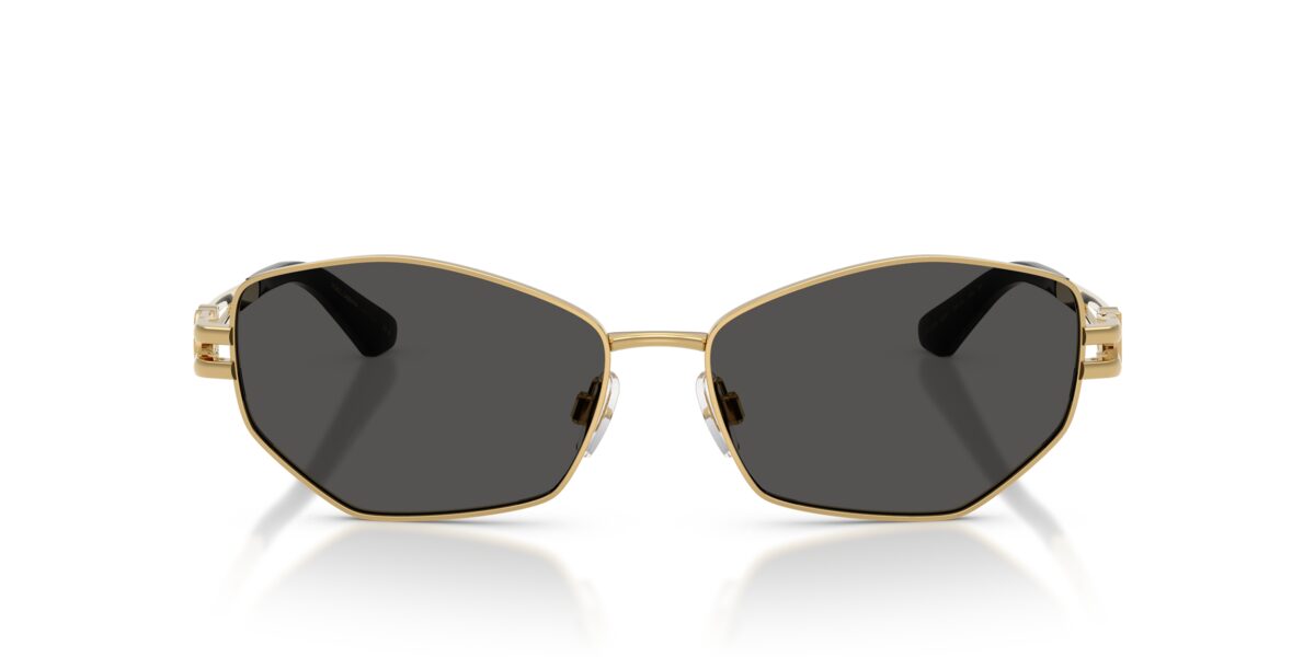 Dolce & Gabbana DG2338 02/87