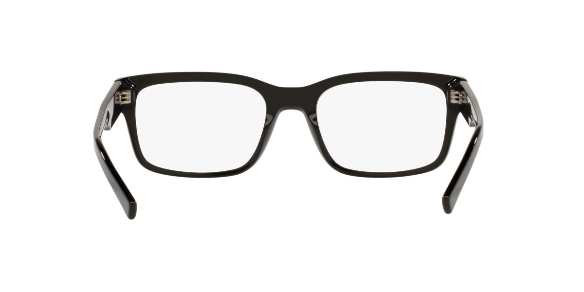 Dolce & Gabbana DG3352 501