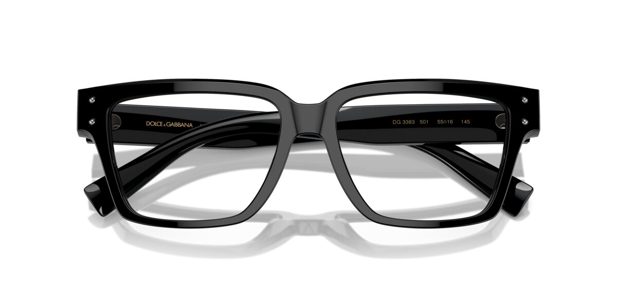 Dolce & Gabbana DG3383 501