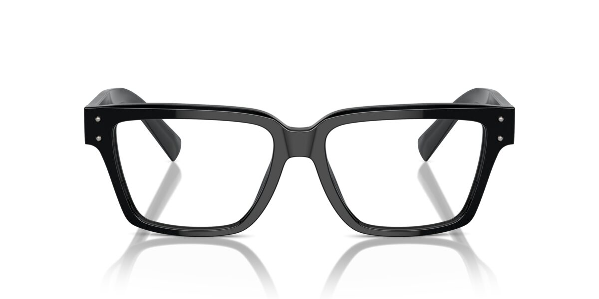 Dolce & Gabbana DG3383 501