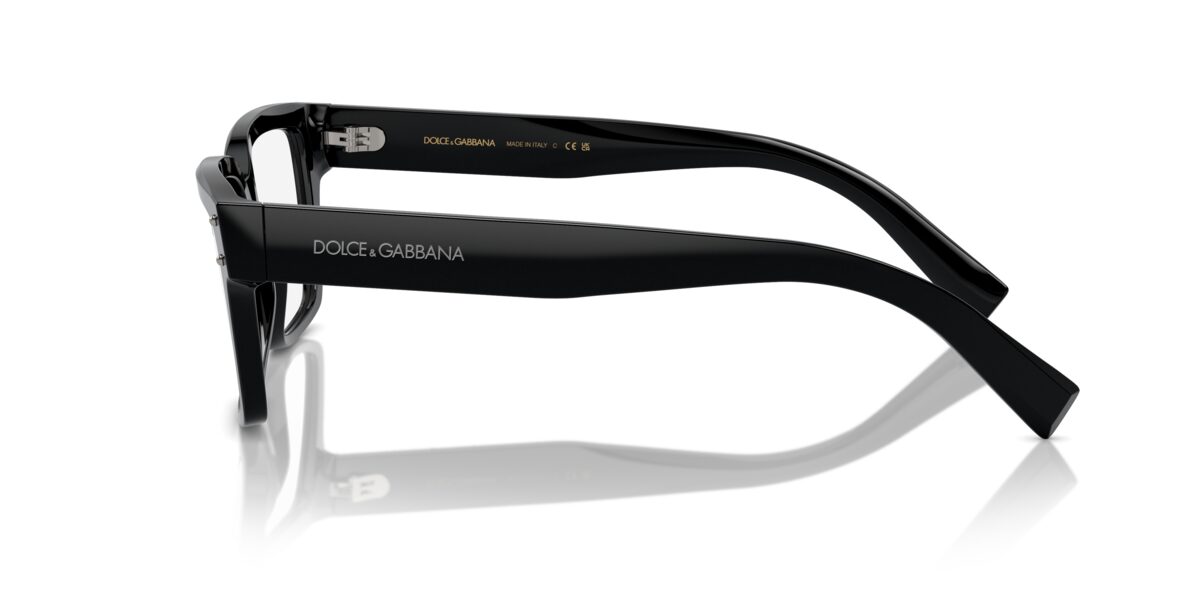 Dolce & Gabbana DG3383 501