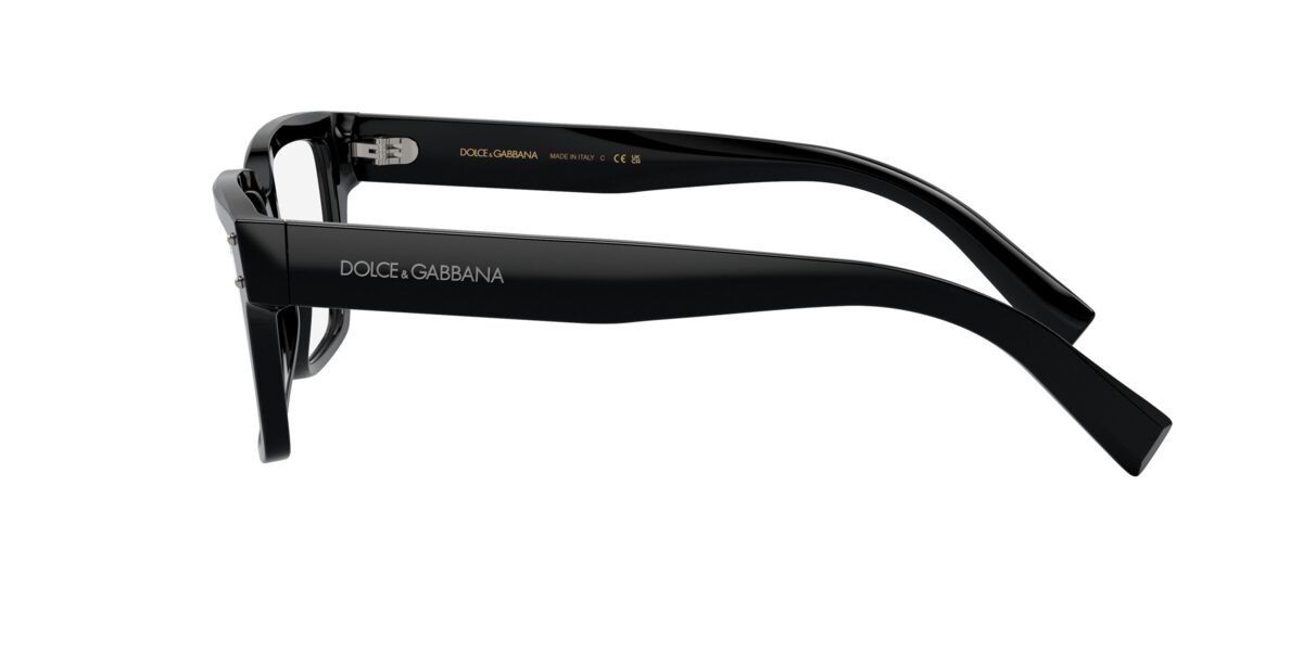 Dolce & Gabbana DG3383 501