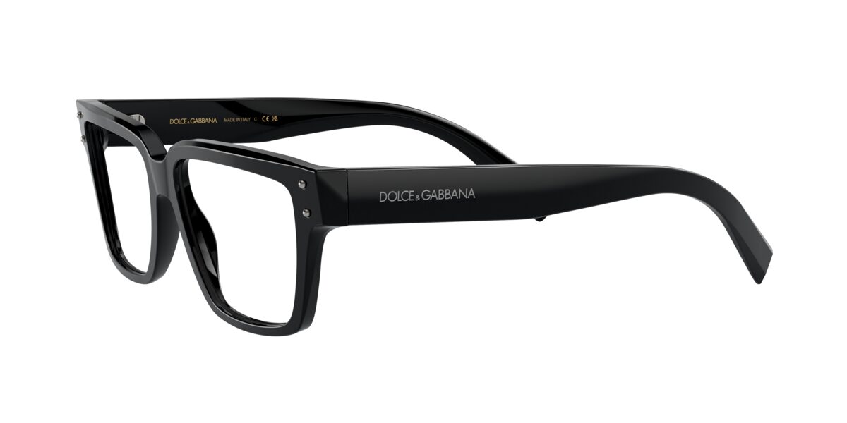 Dolce & Gabbana DG3383 501