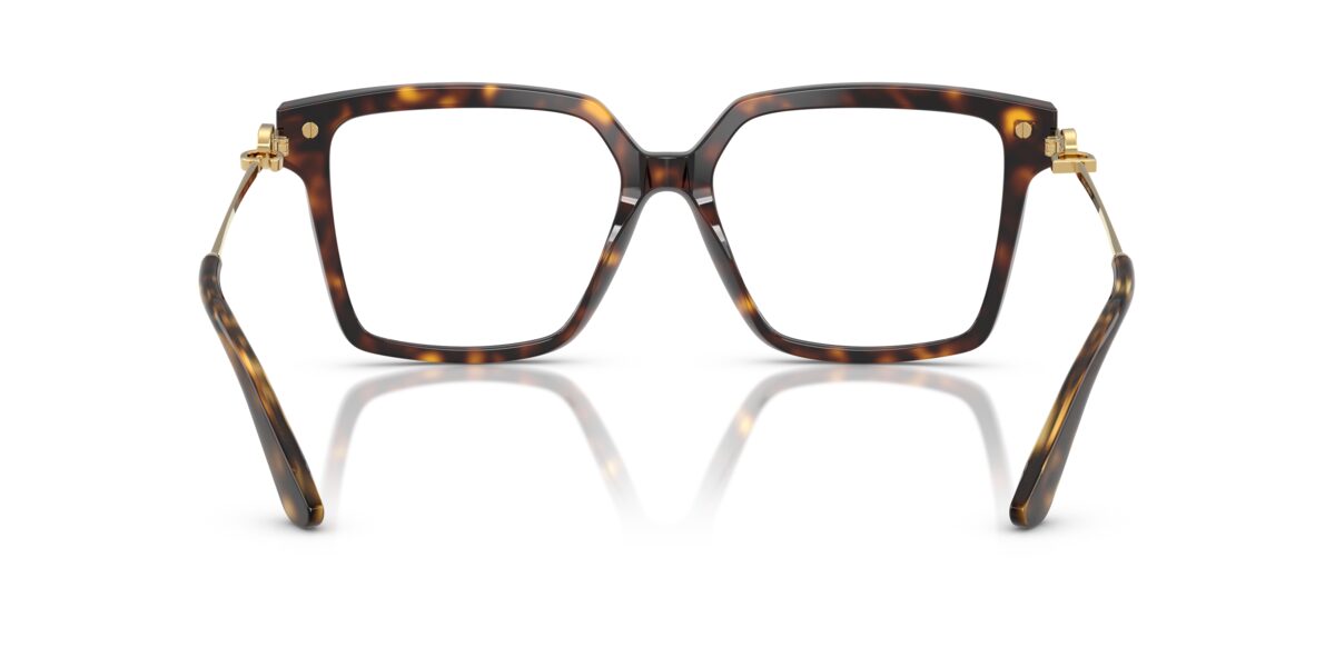 Dolce & Gabbana DG3397 502