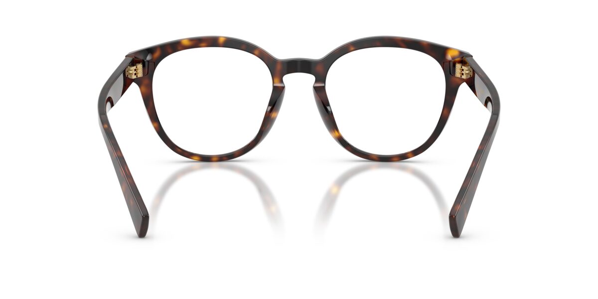 Dolce & Gabbana DG3421 502