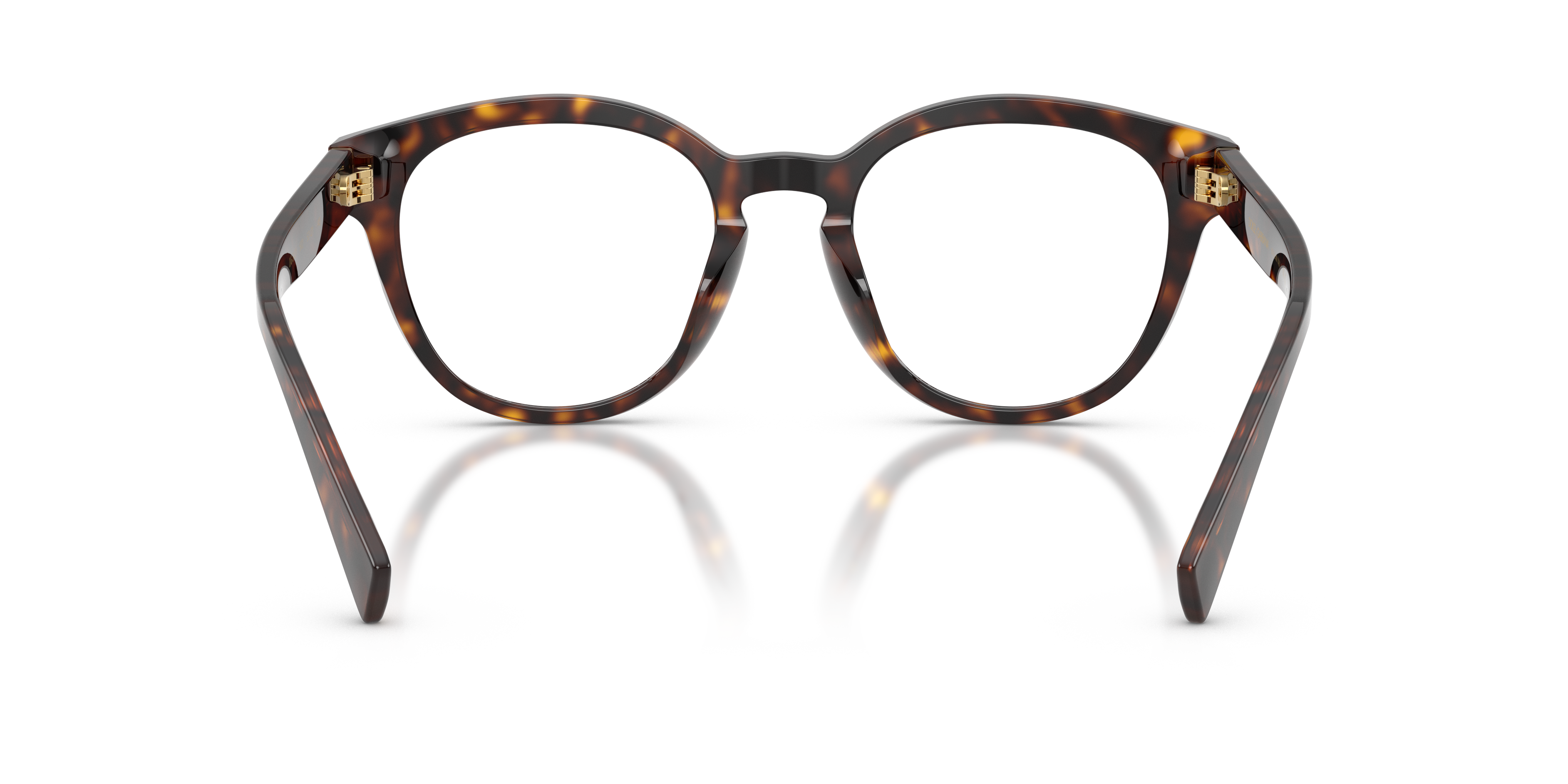Dolce & Gabbana DG3421 502