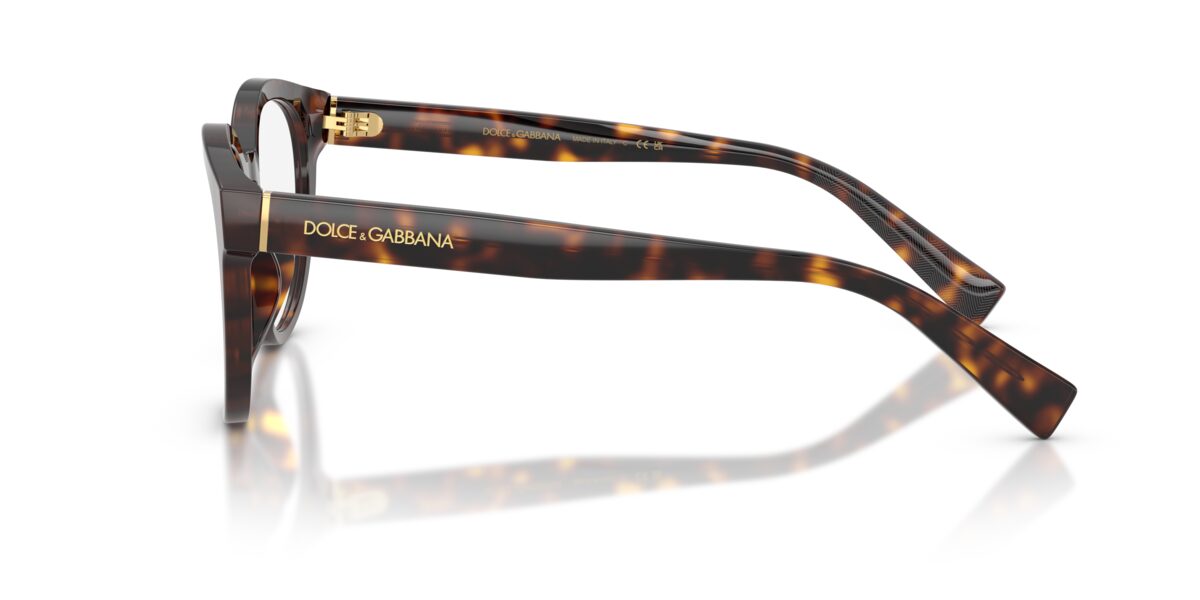 Dolce & Gabbana DG3421 502