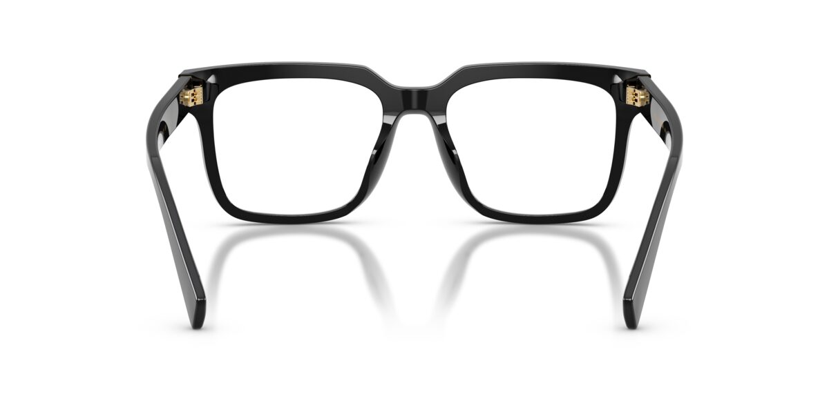 Dolce & Gabbana DG3422 501