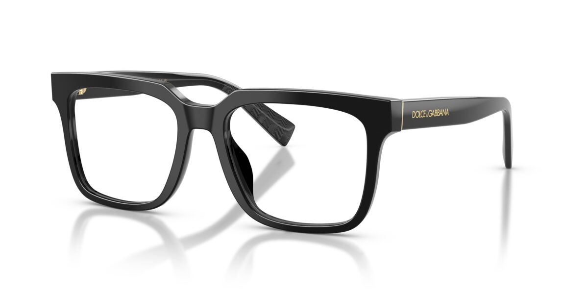 Dolce & Gabbana DG3422 501