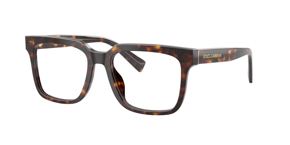 Dolce & Gabbana DG3422 502