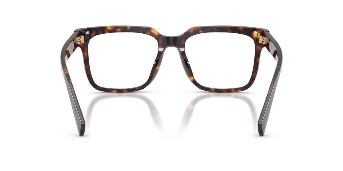 Dolce & Gabbana DG3422 502