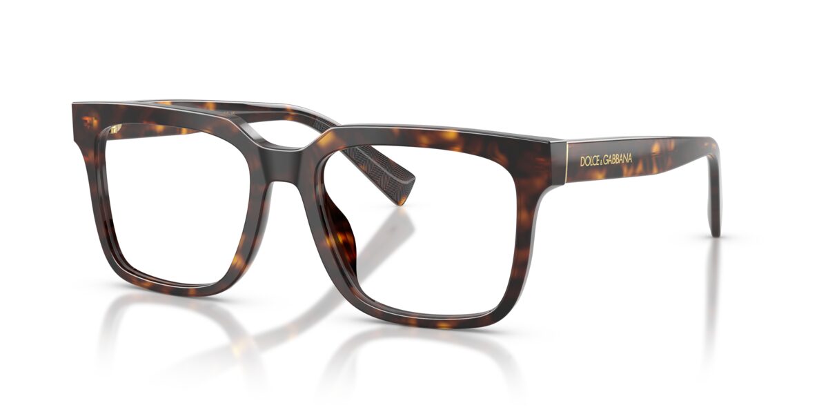 Dolce & Gabbana DG3422 502