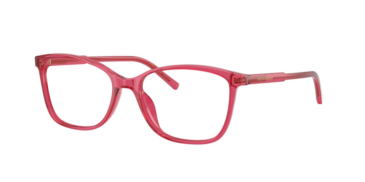 Dolce & Gabbana DG3424 1754