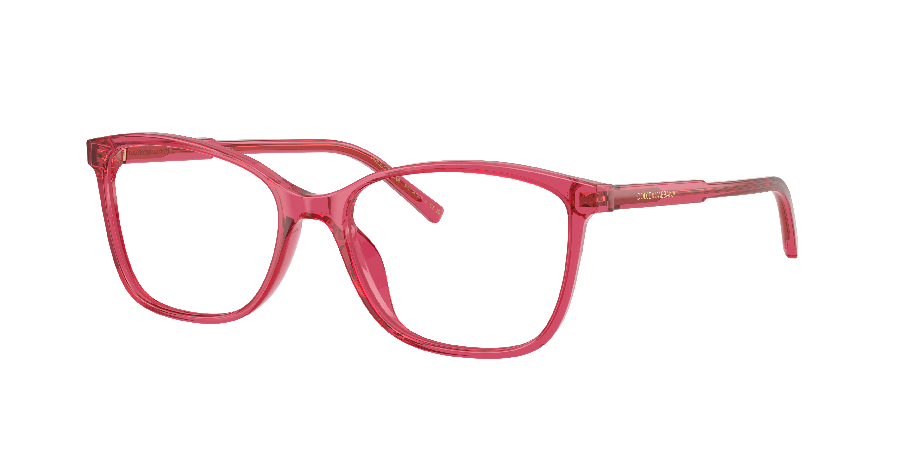 Dolce & Gabbana DG3424 1754