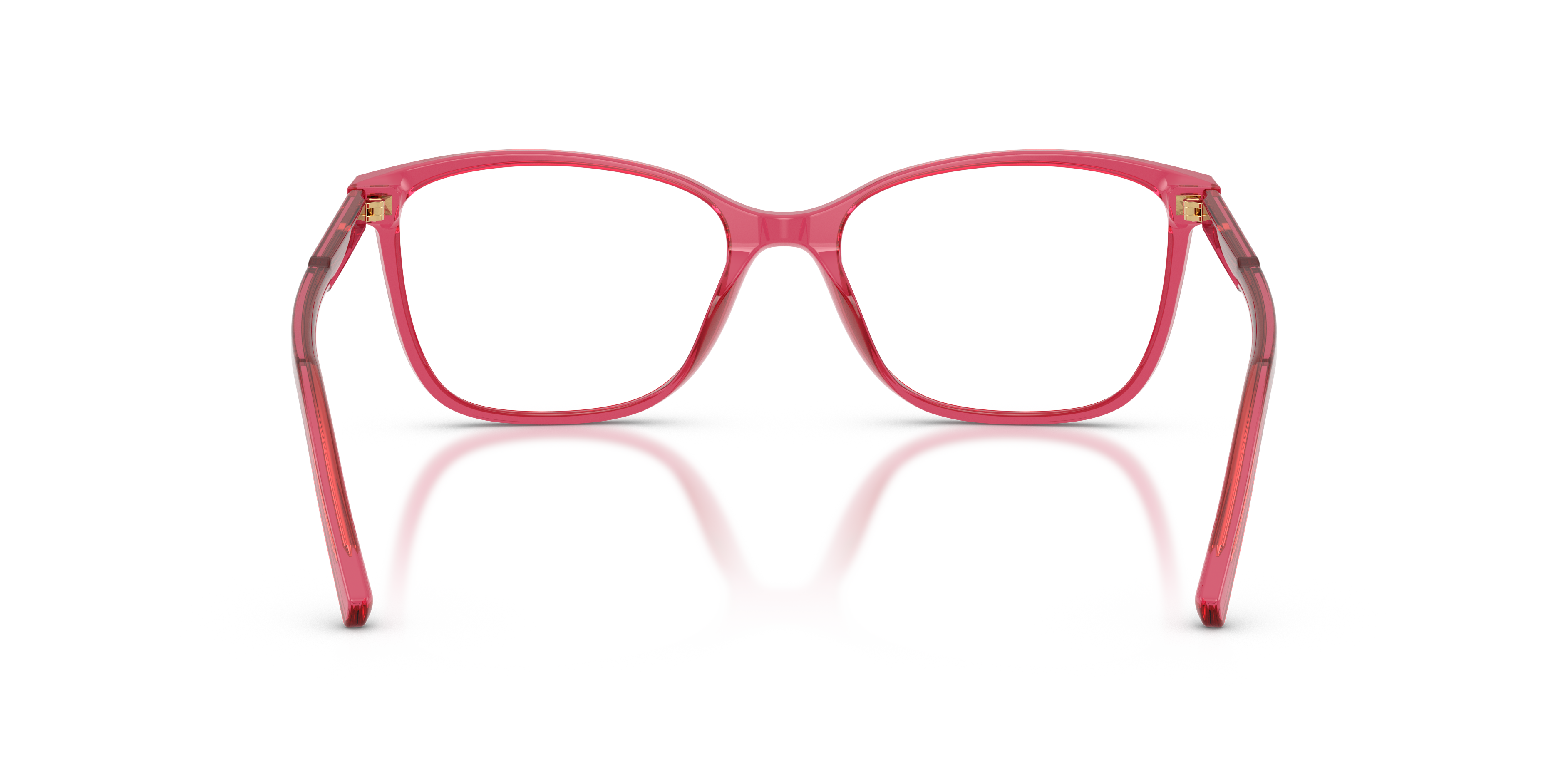 Dolce & Gabbana DG3424 1754