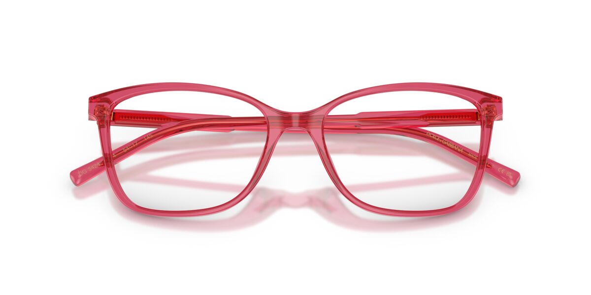 Dolce & Gabbana DG3424 1754