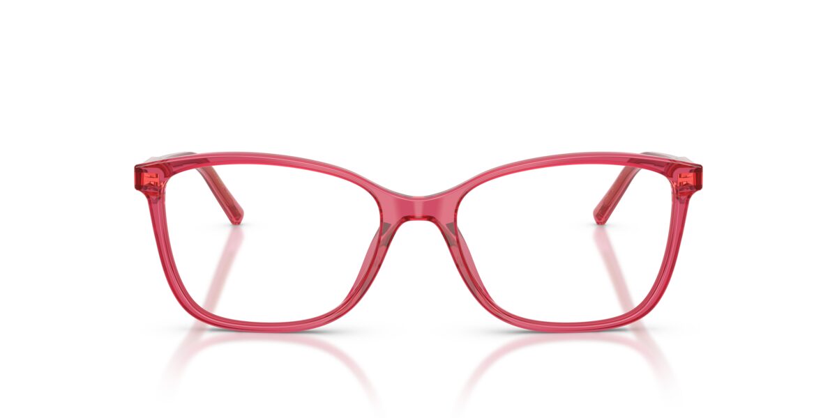 Dolce & Gabbana DG3424 1754