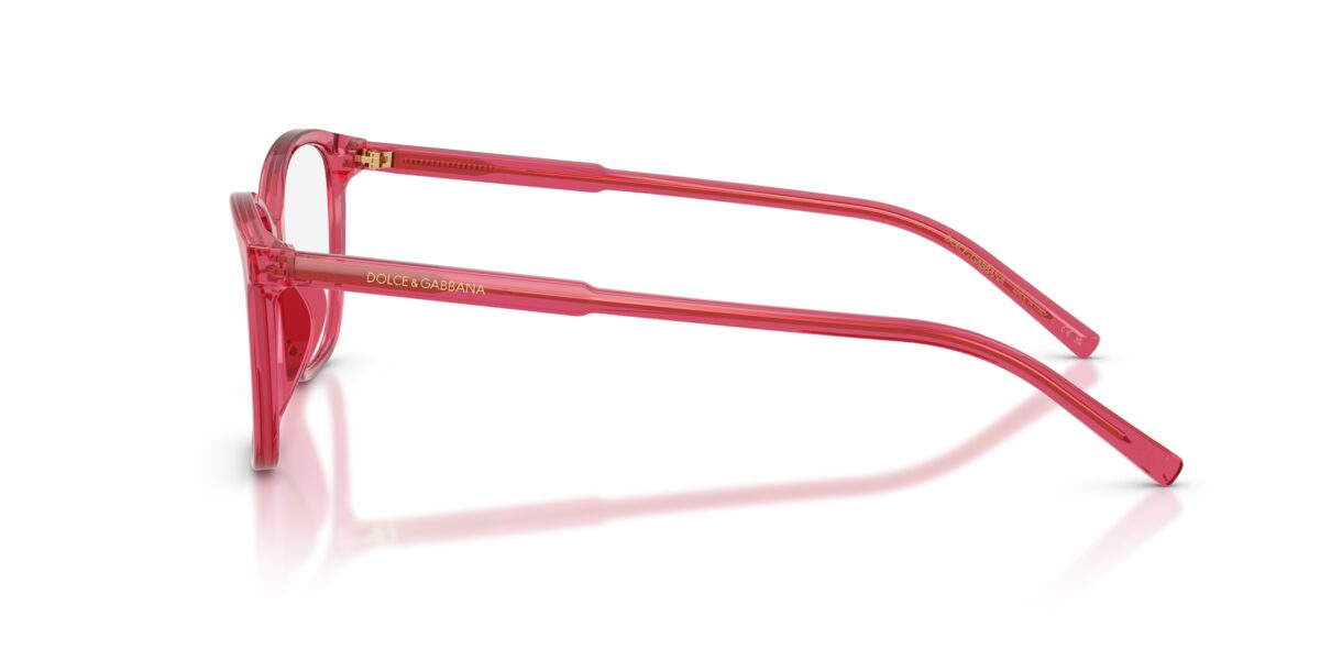 Dolce & Gabbana DG3424 1754