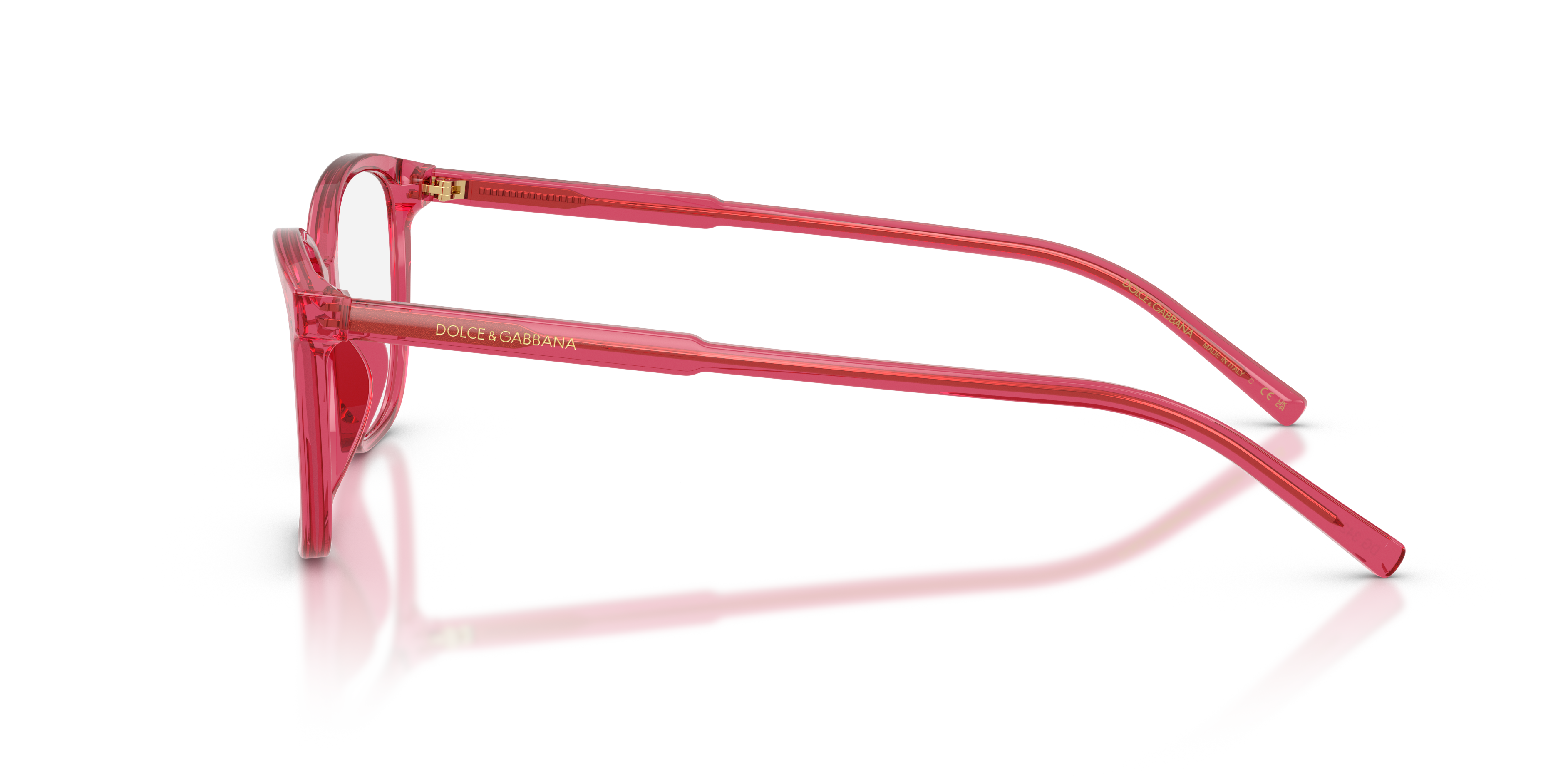 Dolce & Gabbana DG3424 1754