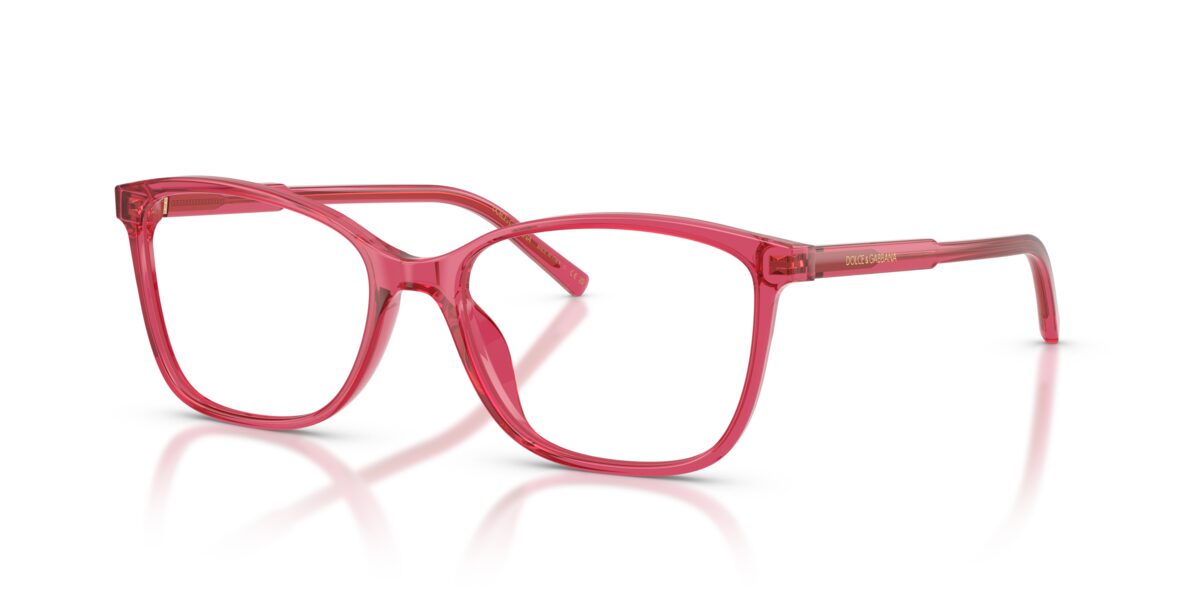 Dolce & Gabbana DG3424 1754