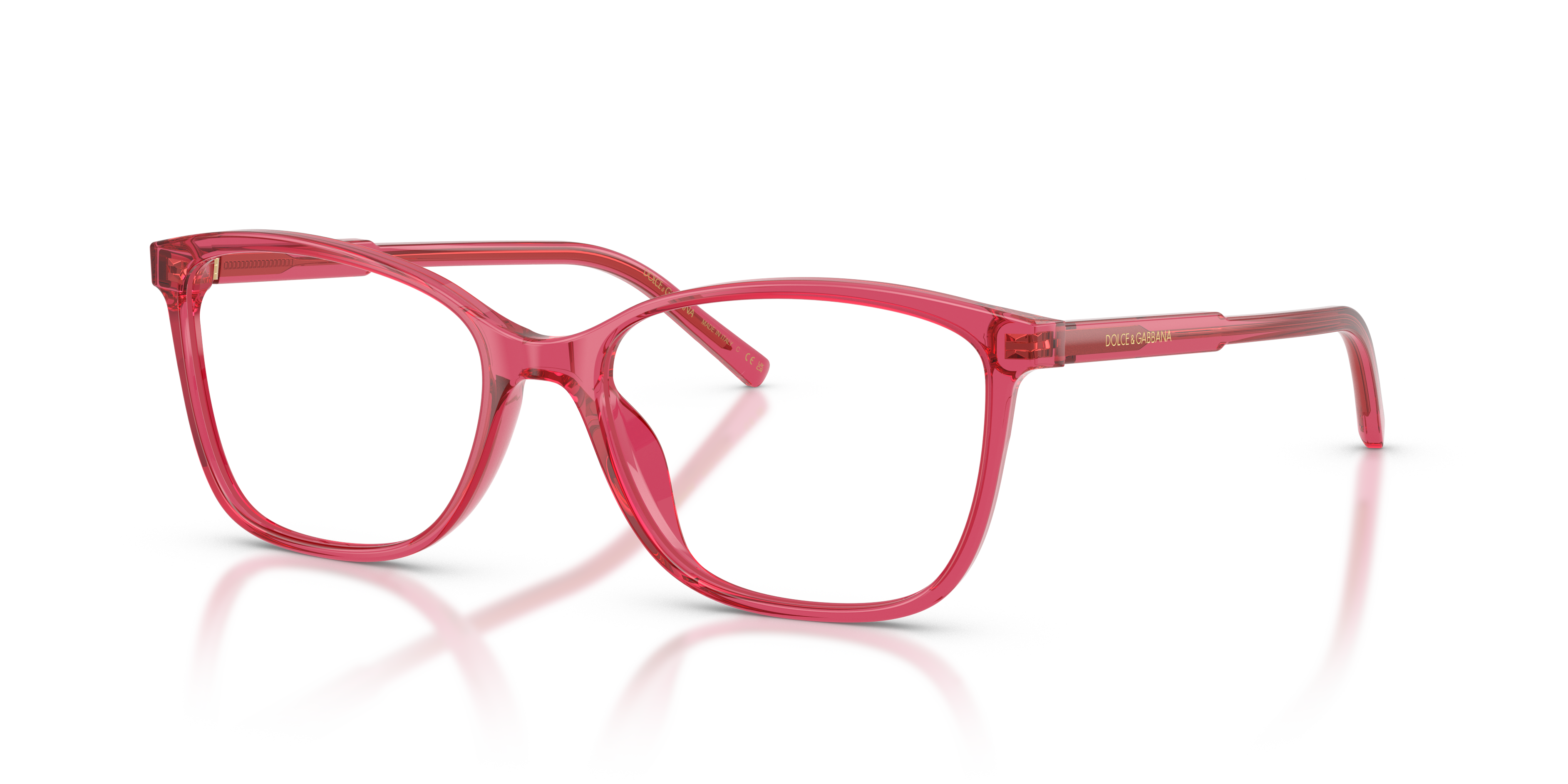 Dolce & Gabbana DG3424 1754