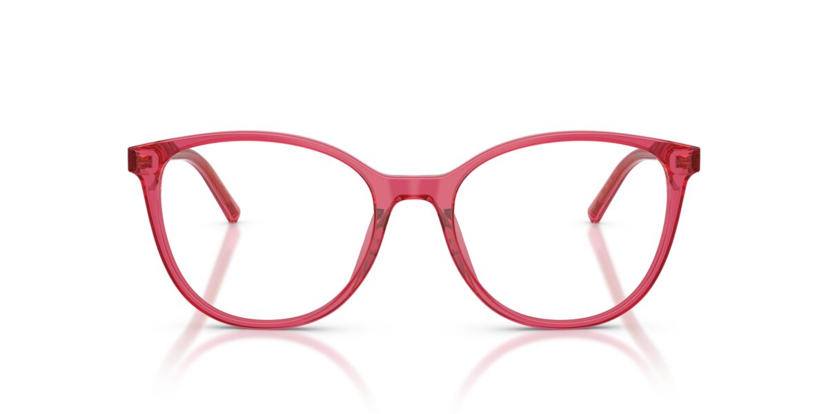 Dolce & Gabbana DG3425 1754