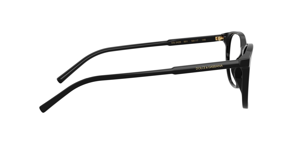 Dolce & Gabbana DG3426 501