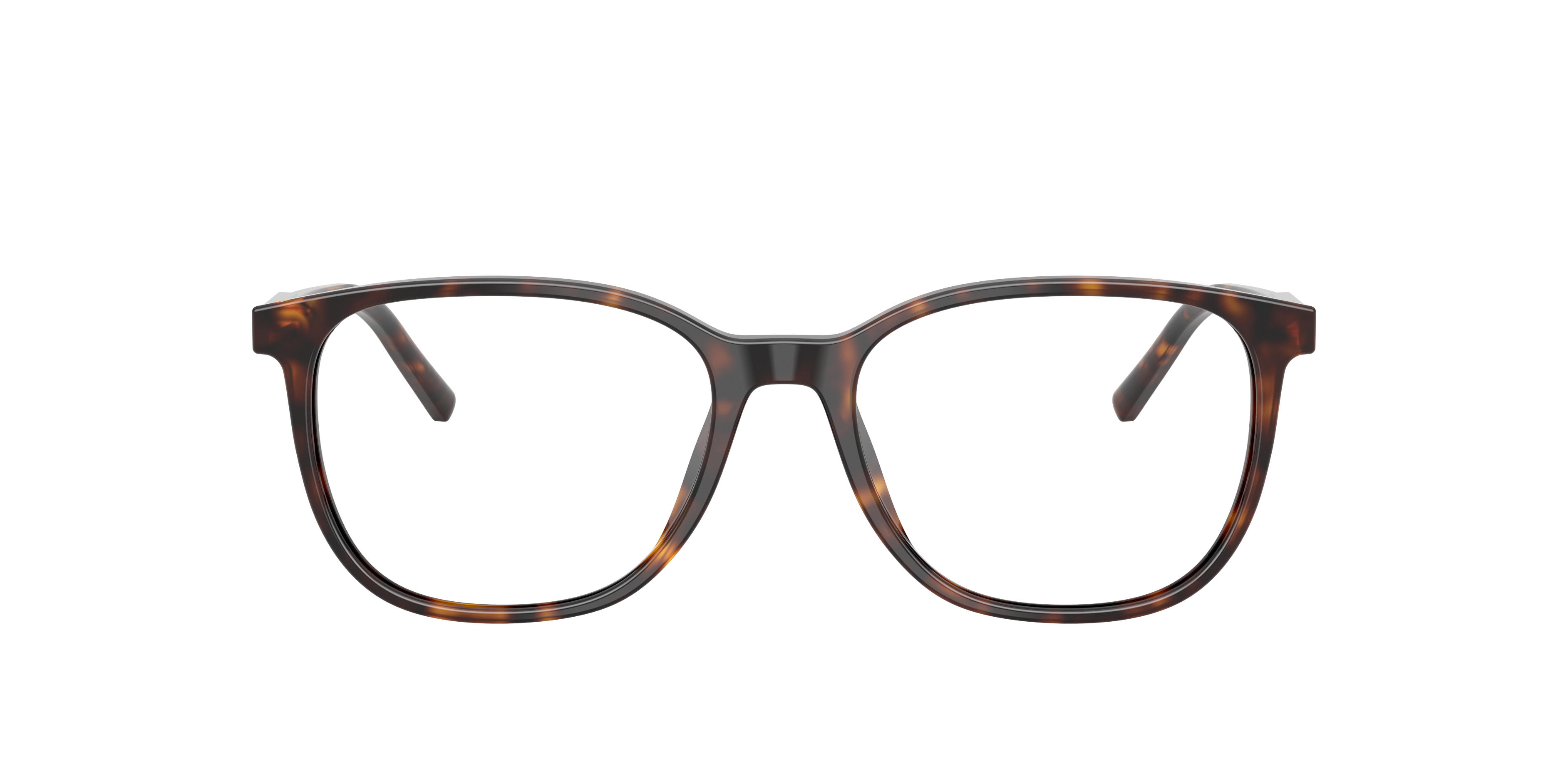 Dolce & Gabbana DG3426 502