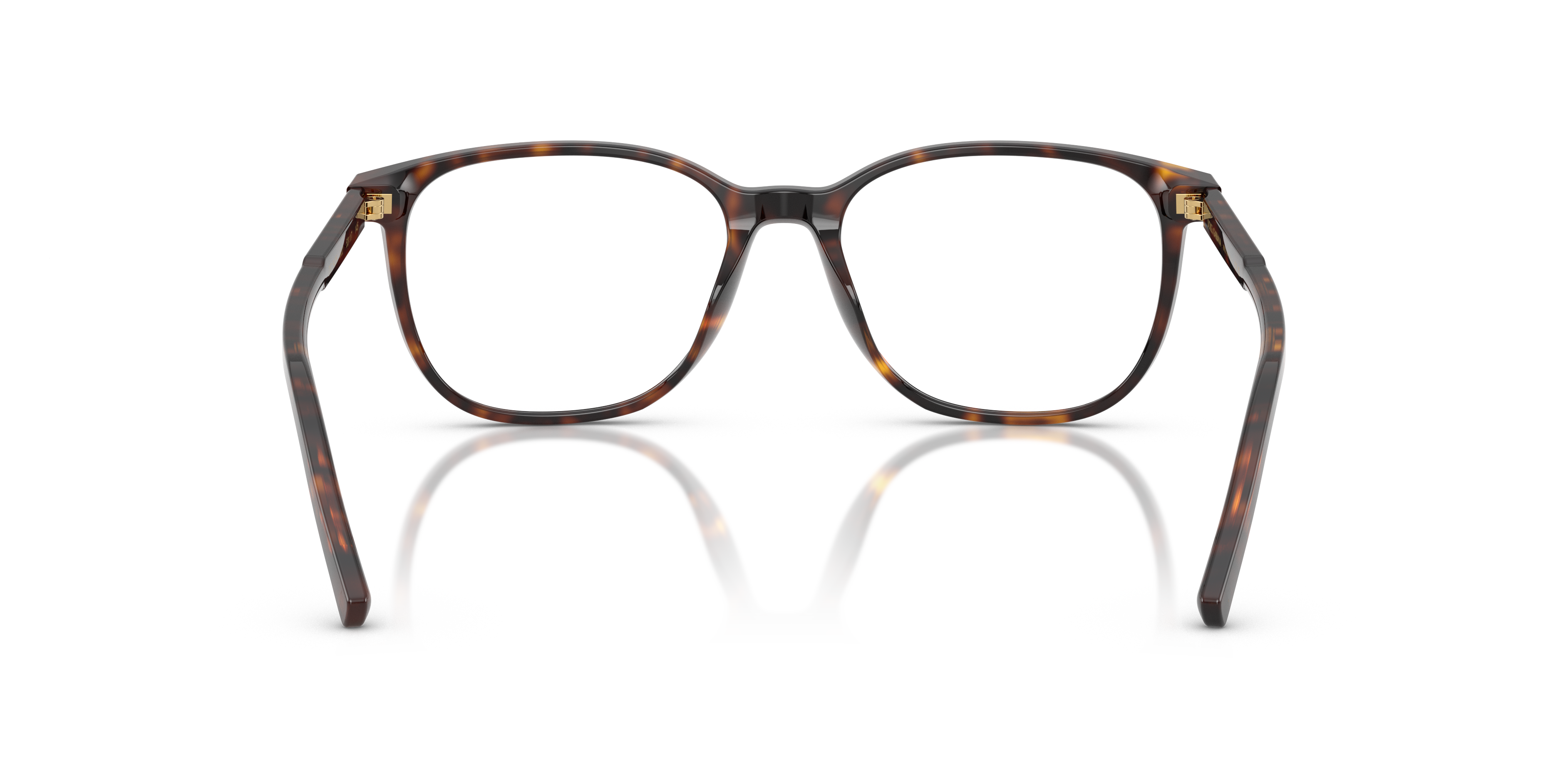 Dolce & Gabbana DG3426 502